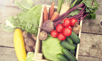 harvest, food and agriculture concept - close up of vegetables on farm