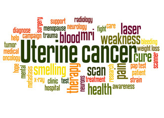 Fototapeta premium Uterine cancer word cloud concept 2