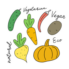 Set of vector handwritten elements. Healthy farm food. Natural bio product. Ink brush lettering. Hand drawn vegetables. Autumn is coming.