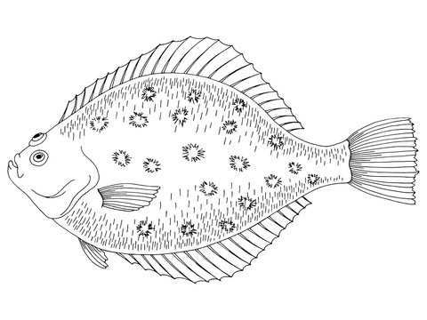 recommend clip art: Flounder fish graphic black white isolated illustration vector
