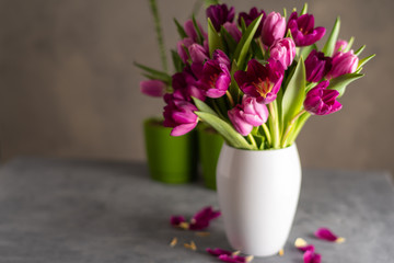 Naklejka na ściany i meble bouquet of tulips in white vase on stone grey background
