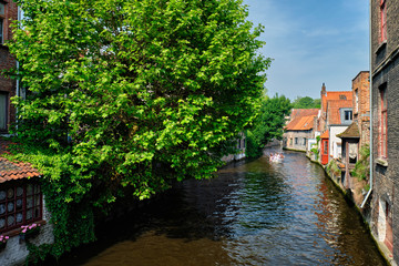 Fototapeta na wymiar Tourist boat in canal. Brugge Bruges, Belgium