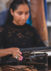 Beautiful woman making cigars. Young Mexican girl produce handmade cigar.