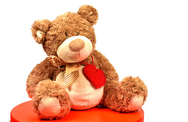teddy bear isolated on white background