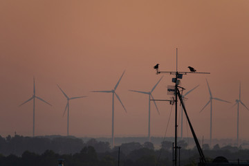 two crows are sitting on the antenna against the background of wind power stations