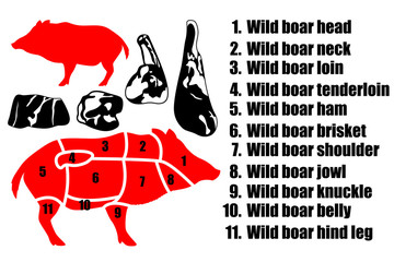 A set of four pieces of pork, the silhouette of a boar and how to carve the carcass. Part of the meat.