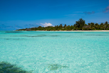 Fototapeta na wymiar view of an island in maldives