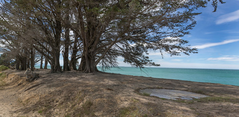 Fototapeta na wymiar Kaikoura coast New Zealand panorama