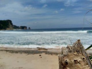 Wood on the beach with beautiful scenery. Good for background and quotes.