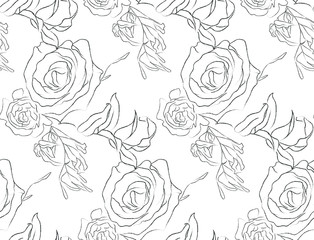 Fototapeta premium Vector Hand Drawn Line Drawing Doodle Floral Seamless Pattern with Rose Flowers, Wildflowers, Plants, Branches, Leaves. Design Elements Illustration. Branding. Swatch