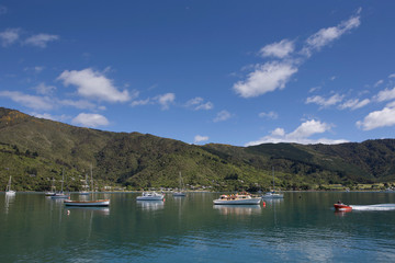 Fototapeta na wymiar Marlborough Sound New Zealand Groves Arm Jetty Boats
