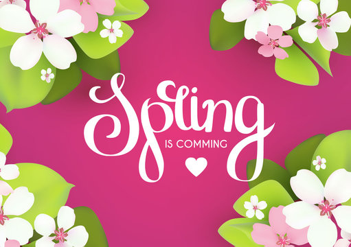 Spring sale. Seasonal offer poster template with flowers and lettering. Realistic apple blossom.