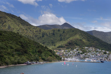 Queen Charlotte Sound. Picton. South island.