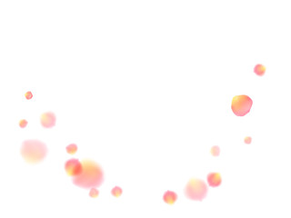 Rose gold petals flying cosmetics vector background.