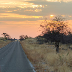 Obraz premium Coucher de soleil sur Etosha, Namibie
