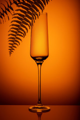 One empty champagne glass against the background of an exotic orange sunset and palm tree shade