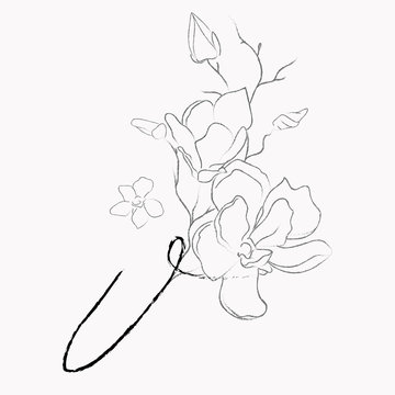 Handwritten Floral Logo Template. Line Drawing Monogram V with Magnolia Flower, Plants, Branches, Leaves. Design Element Vector Illustration. Branding. Wedding, photography, art, studio