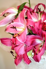 Fototapeta na wymiar bouquet of flowers pink lily