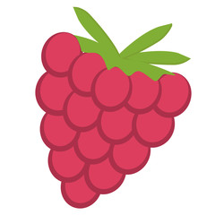 Raspberry with leaf vector icon. Raspberry icon clipart. Raspberry cartoon. vector illustration.