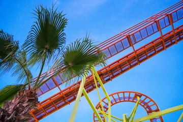 Roller Coaster in the city amusement park at evening.
