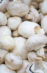 Close-up view of organic champignons in supermarket.