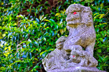 Obraz premium Komainu(Guardian dog) of the Kinugasa shrine in Yokosuka, Japan.