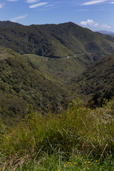 Mountains near Featherston New Zealand. Pakuratahi Forest