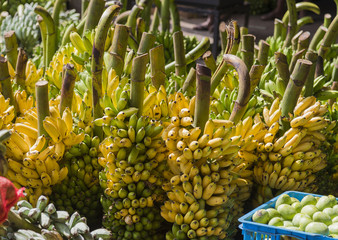 Inside the largest fruit and vegetable wholesale market in Sri Lanka. Under ripe bananas.