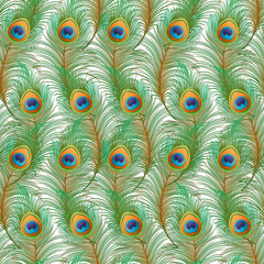 Obraz premium Peacock feathers Seamless pattern, background. Colored vector illustration isolated on white background