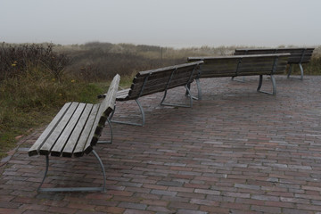 Wintermorgen im Dunst