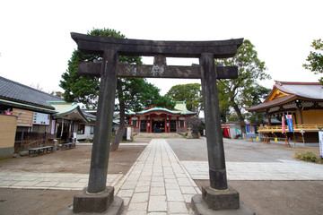 Fototapeta premium 品川神社の鳥居と本殿