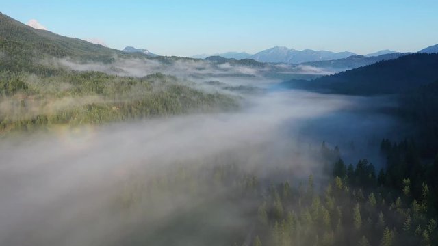 Flight over forest with early morning fog, lake Ferchensee, Bavaria