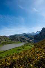 Ercina lake in Picos de Europa national park in Asturias, Spain