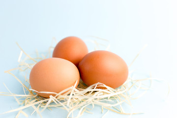 Three Brown Chicken eggs in a Small Nest on the bright blue background. Farm natural products, food or Easter concept. Top view, flat lay