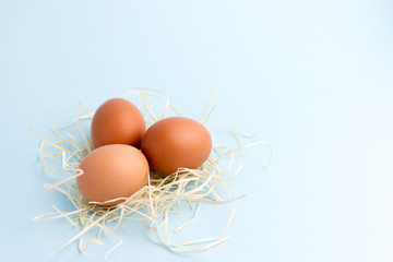 Three Brown Chicken eggs in a Small Nest on the bright blue background. Farm natural products, food or Easter concept. Top view, flat lay