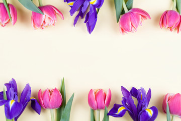 Beautiful spring flowers. red tulips and purple irises on yellow background opposite each other