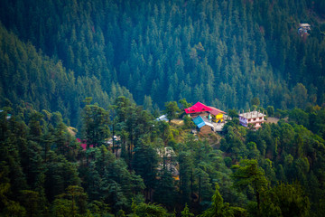 Beautiful Green mountain view in naldehra, Shimla,Himachal pradesh, India