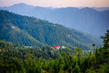 Beautiful Green mountain view in naldehra, Shimla,Himachal pradesh, India