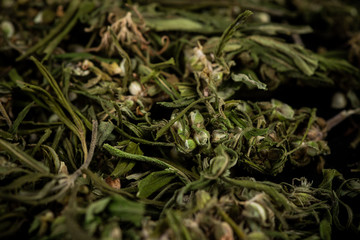 Sative Indica or Cannabis Marijuana Flower Buds Blur Bacground
