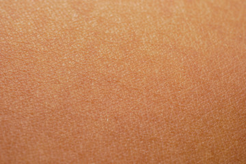 texture of the skin.Dark skin of woman hand macro. Human skin texture background