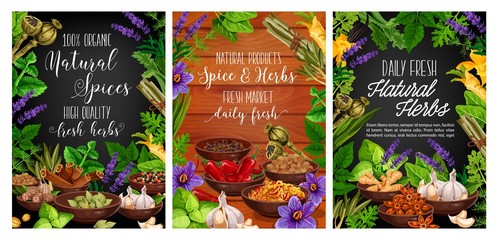 Fresh herbs, spices and vegetable seasonings vector design of food condiments. Basil, mint and parsley plant green leaves, chilli peppers, cinnamon and vanilla, ginger, garlic and cardamom seeds frame