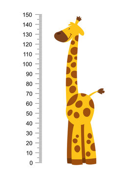 Cheerful funny giraffe with long neck. Height meter or meter wall or wall sticker from 0 to 150 centimeters to measure growth. Childrens vector illustration