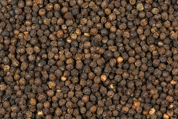 Spice background, Background made of many whole black peppercorns, top view