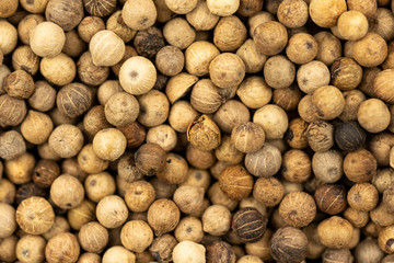 Spice background, Background made of many whole white peppercorns, close up, top view