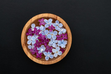Floating lilac flowers in a bowl of water on a black background.
