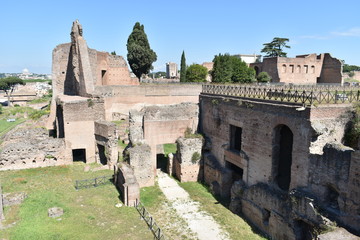 Image of Ruins of the Roman Forum