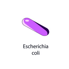 Escherihia coli. Bacterial microorganism. Vector illustration isolated on white.