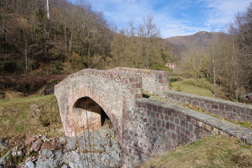 Vieux pont de pierre médiéval dans la montagne des pyrénées en vallespir