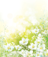 Obraz na płótnie Canvas Vector spring, floral background. Nature background.