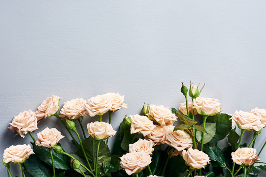 Border Of Beige Roses Flowers.